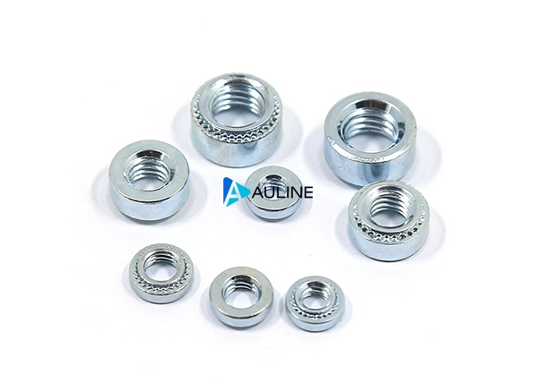 压铆耗材 Press Rivet Nut